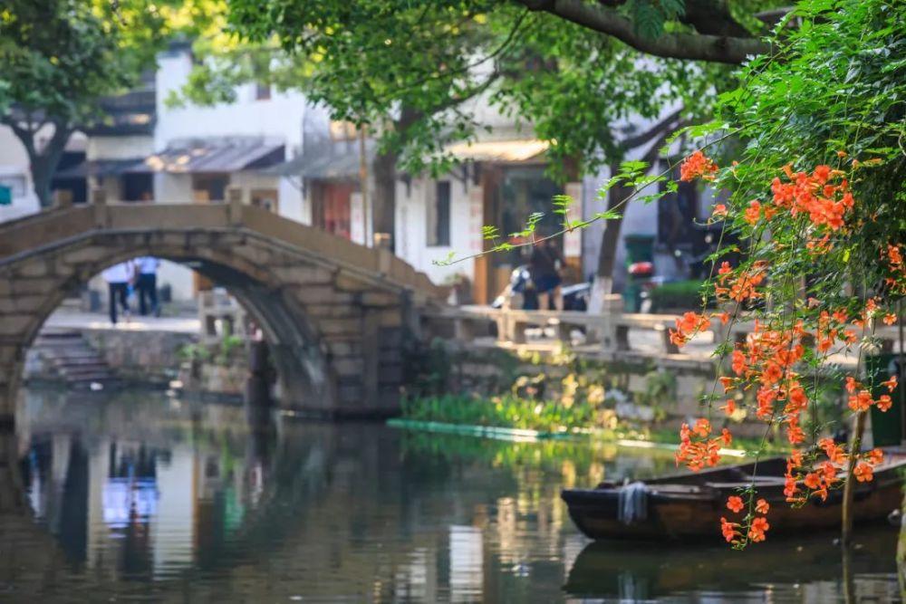 救援蝙蝠
